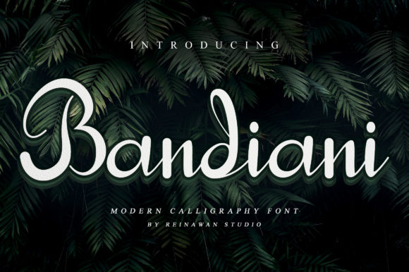 Bandiani and Bandiani: A Delicate Handwritten Font for Creative Projects