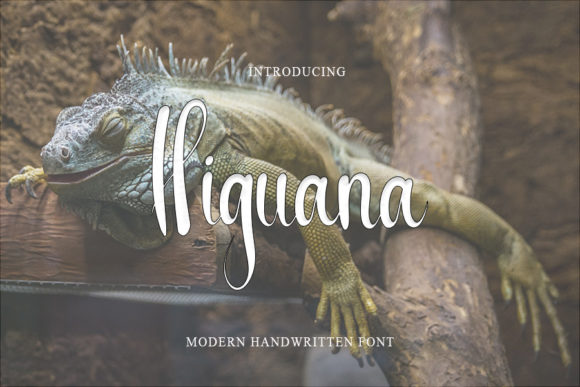 Discover Higuana: A Handwritten Font That Balances Class and Modernity