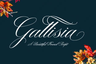 Gallisia Script Font